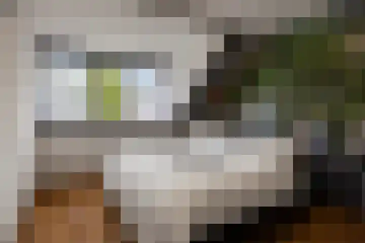 Doorzwin 4174 Julianadorp thumbnail 18