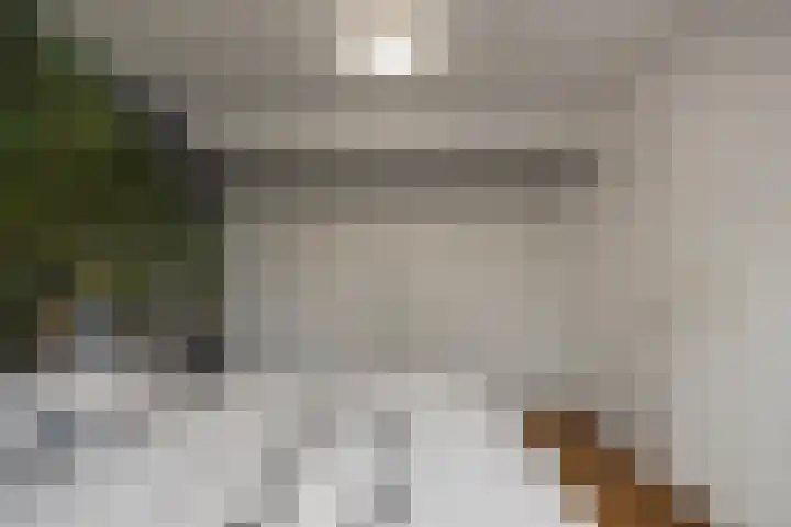 Doorzwin 4174 Julianadorp thumbnail 19