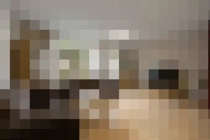 Doorzwin 4174 Julianadorp thumbnail 4