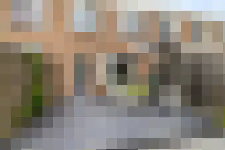 Doorzwin 4174 Julianadorp thumbnail 9