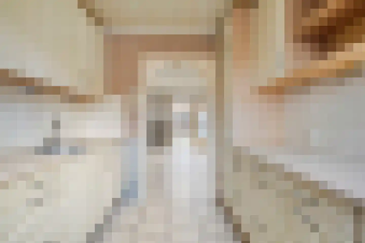 Doorzwin 4180 Julianadorp thumbnail 10