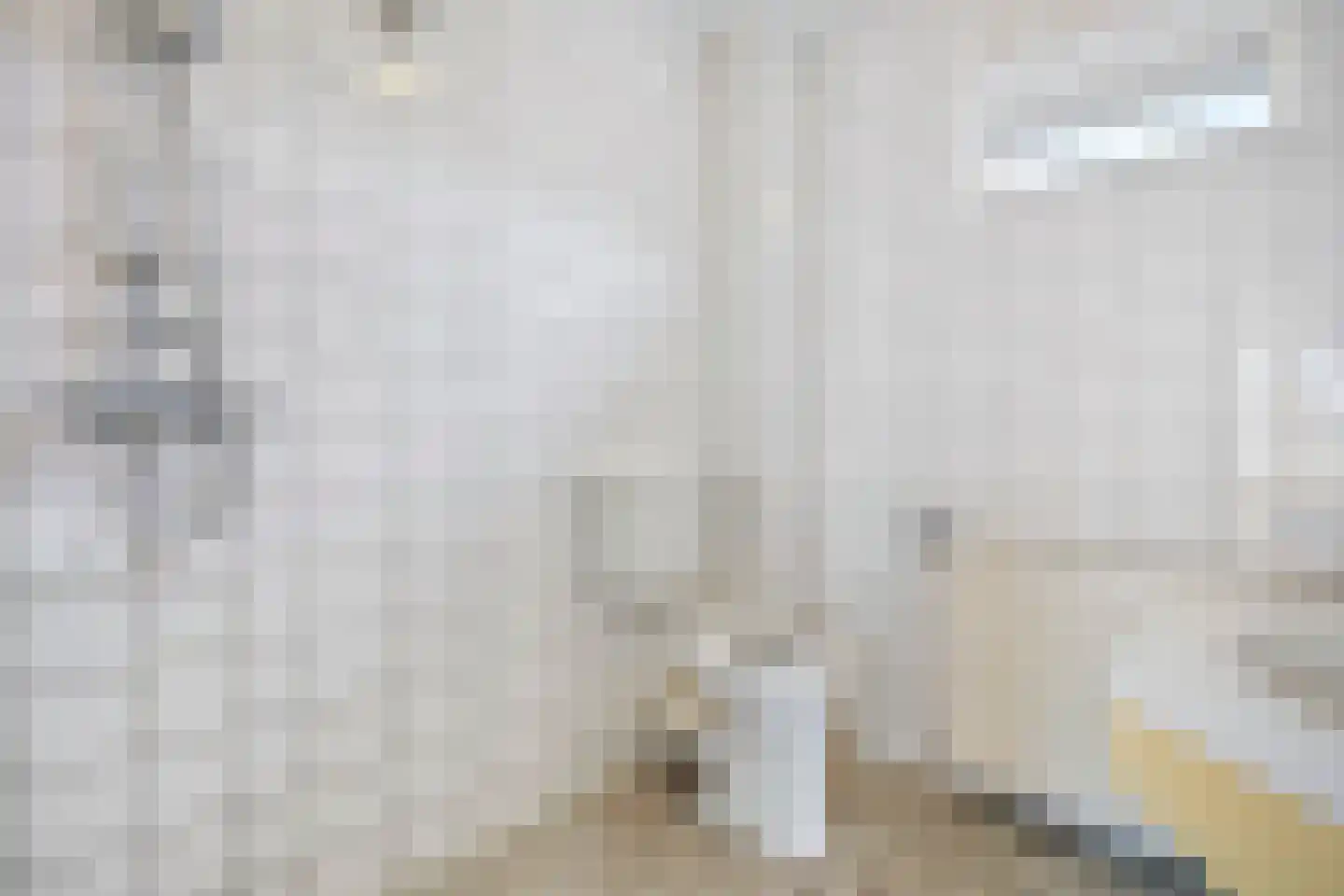 Doorzwin 4180 Julianadorp thumbnail 24