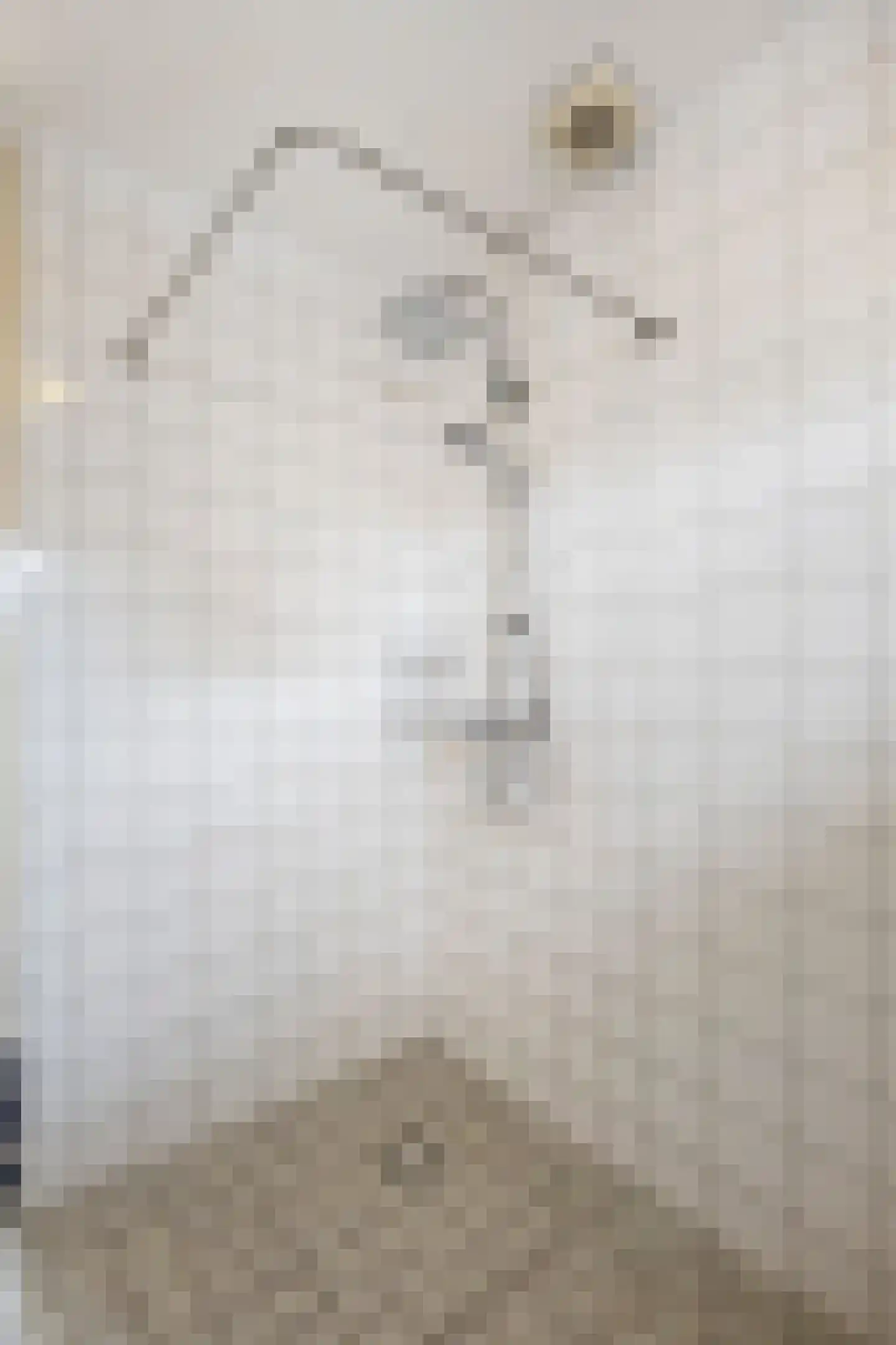 Doorzwin 4180 Julianadorp thumbnail 27