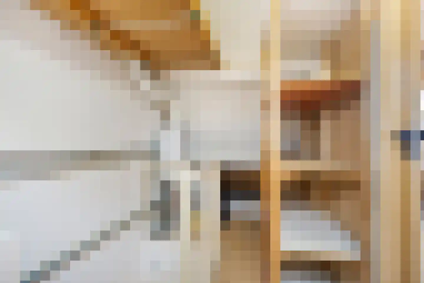 Doorzwin 4180 Julianadorp thumbnail 29