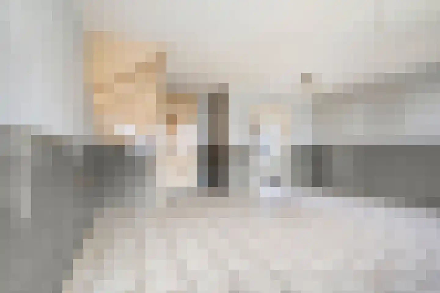 Doorzwin 4180 Julianadorp thumbnail 6