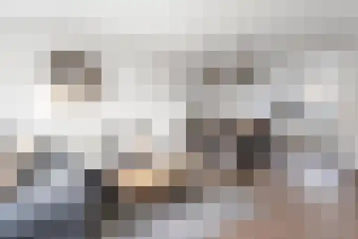 Doorzwin 4245 Julianadorp thumbnail 12