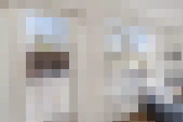 Doorzwin 4245 Julianadorp thumbnail 19