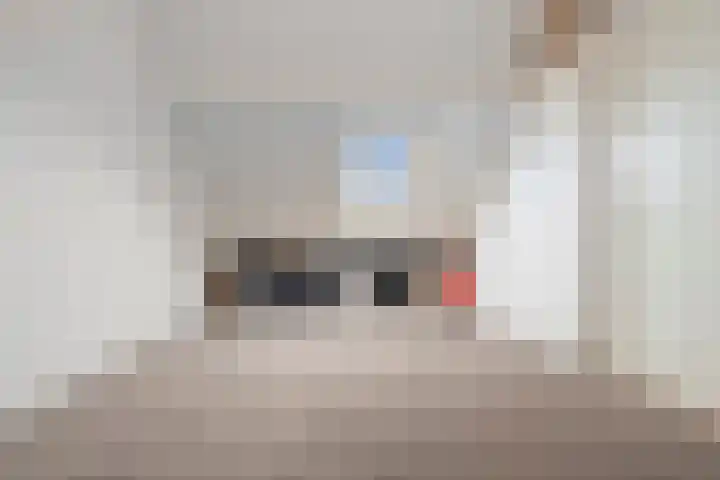 Doorzwin 4245 Julianadorp thumbnail 41