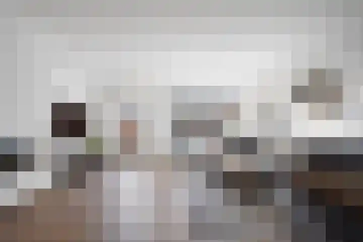 Doorzwin 4245 Julianadorp thumbnail 9