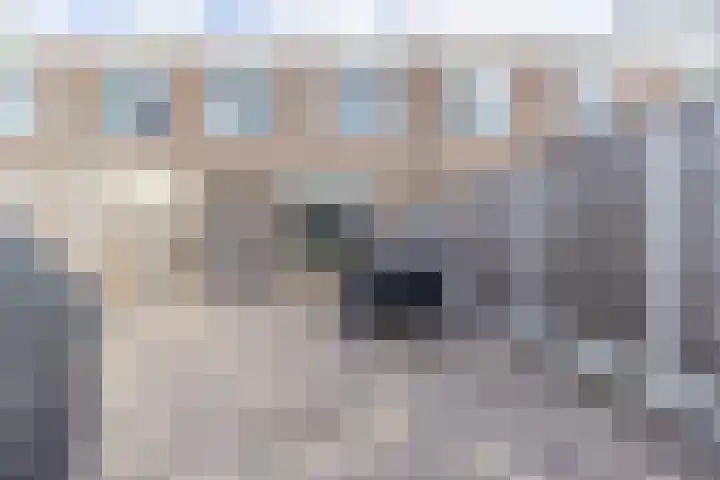 Doorzwin 4248 Julianadorp thumbnail 14