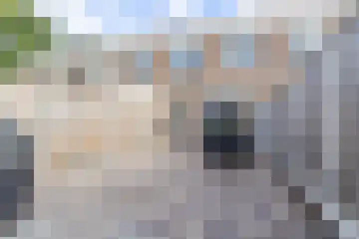 Doorzwin 4248 Julianadorp thumbnail 15