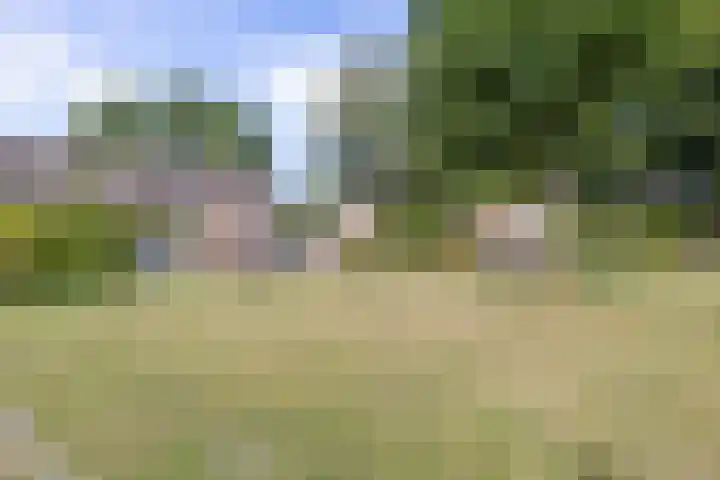 Doorzwin 4248 Julianadorp thumbnail 35