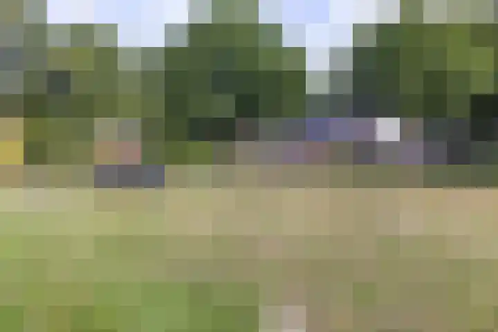 Doorzwin 4248 Julianadorp thumbnail 36