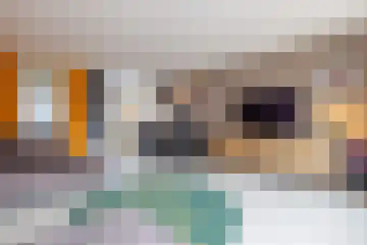 Doorzwin 4248 Julianadorp thumbnail 5