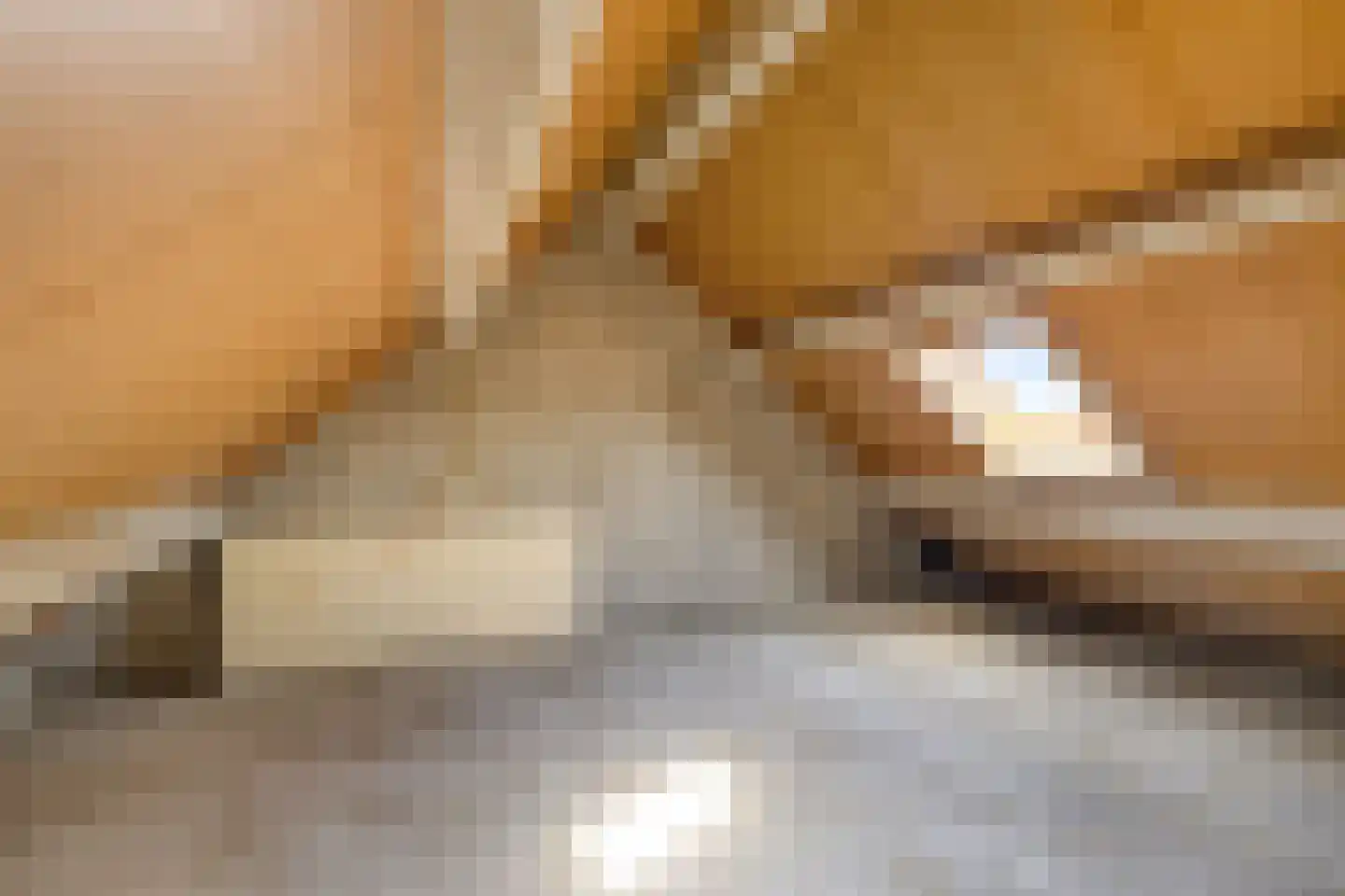 Doorzwin 4249 Julianadorp thumbnail 19