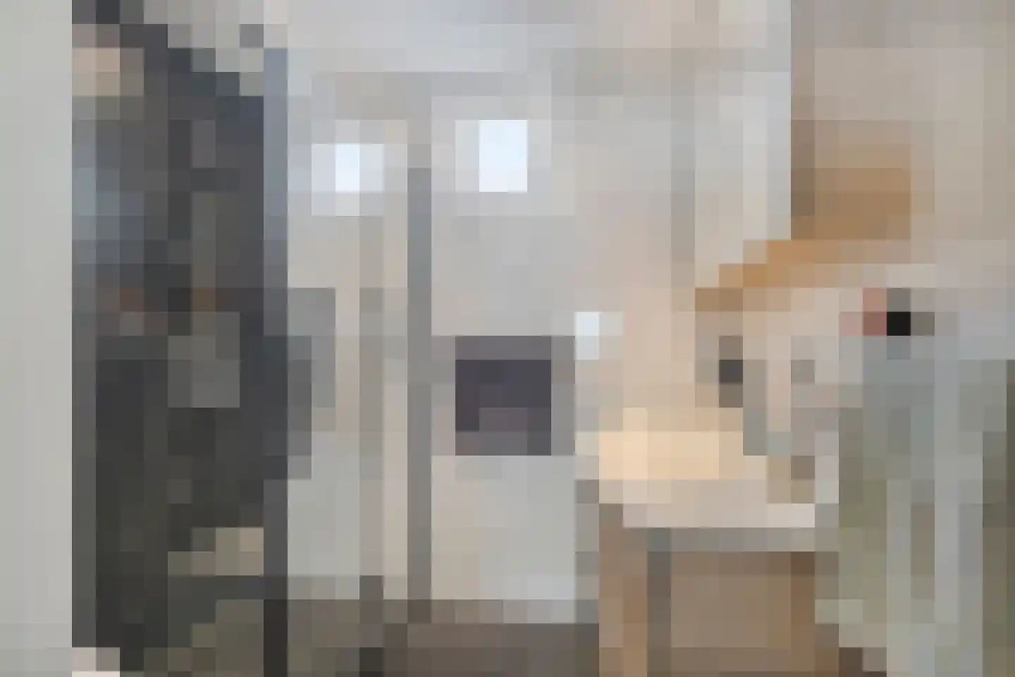 Doorzwin 4306 Julianadorp thumbnail 19