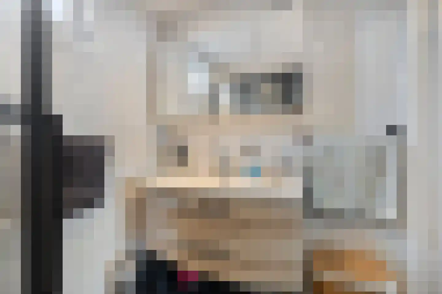Doorzwin 4306 Julianadorp thumbnail 21