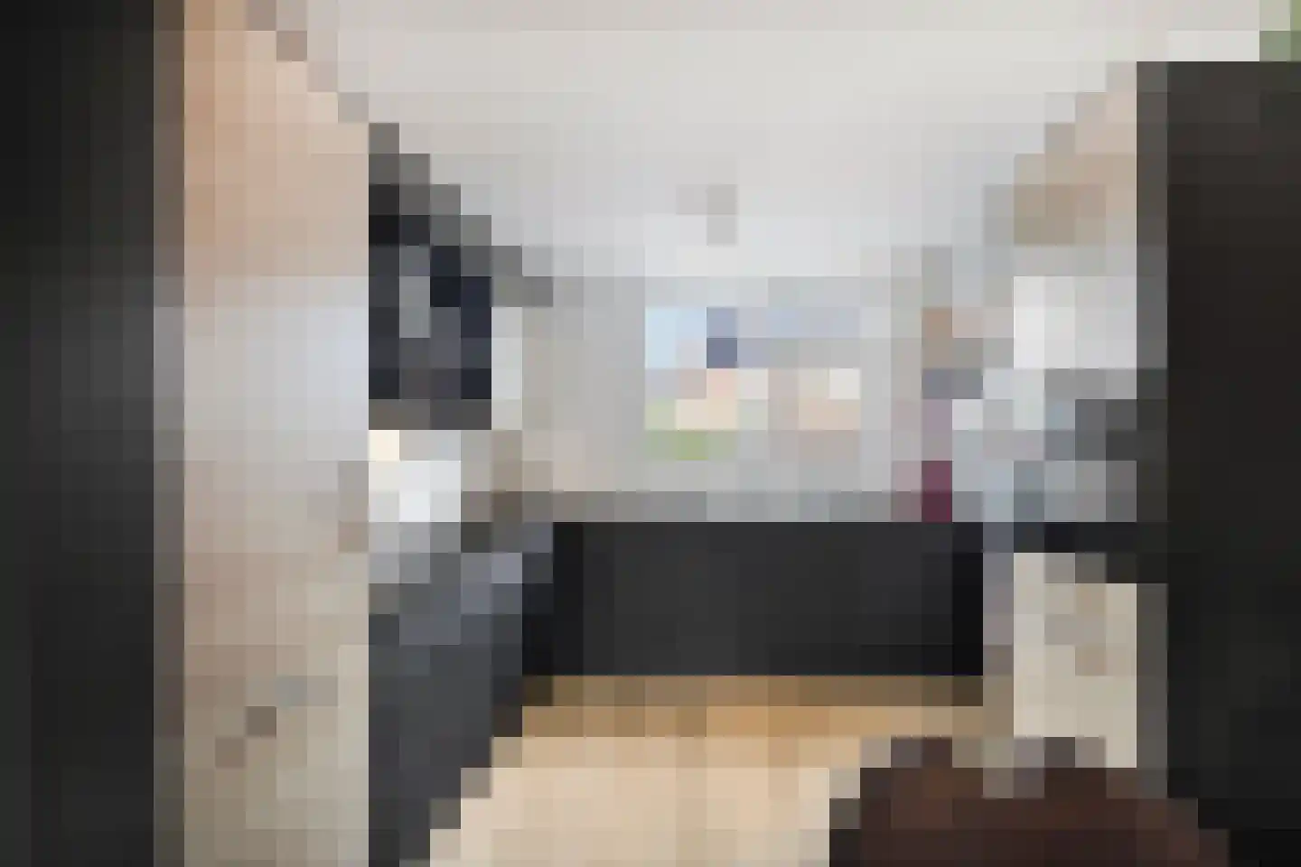 Doorzwin 4306 Julianadorp thumbnail 9