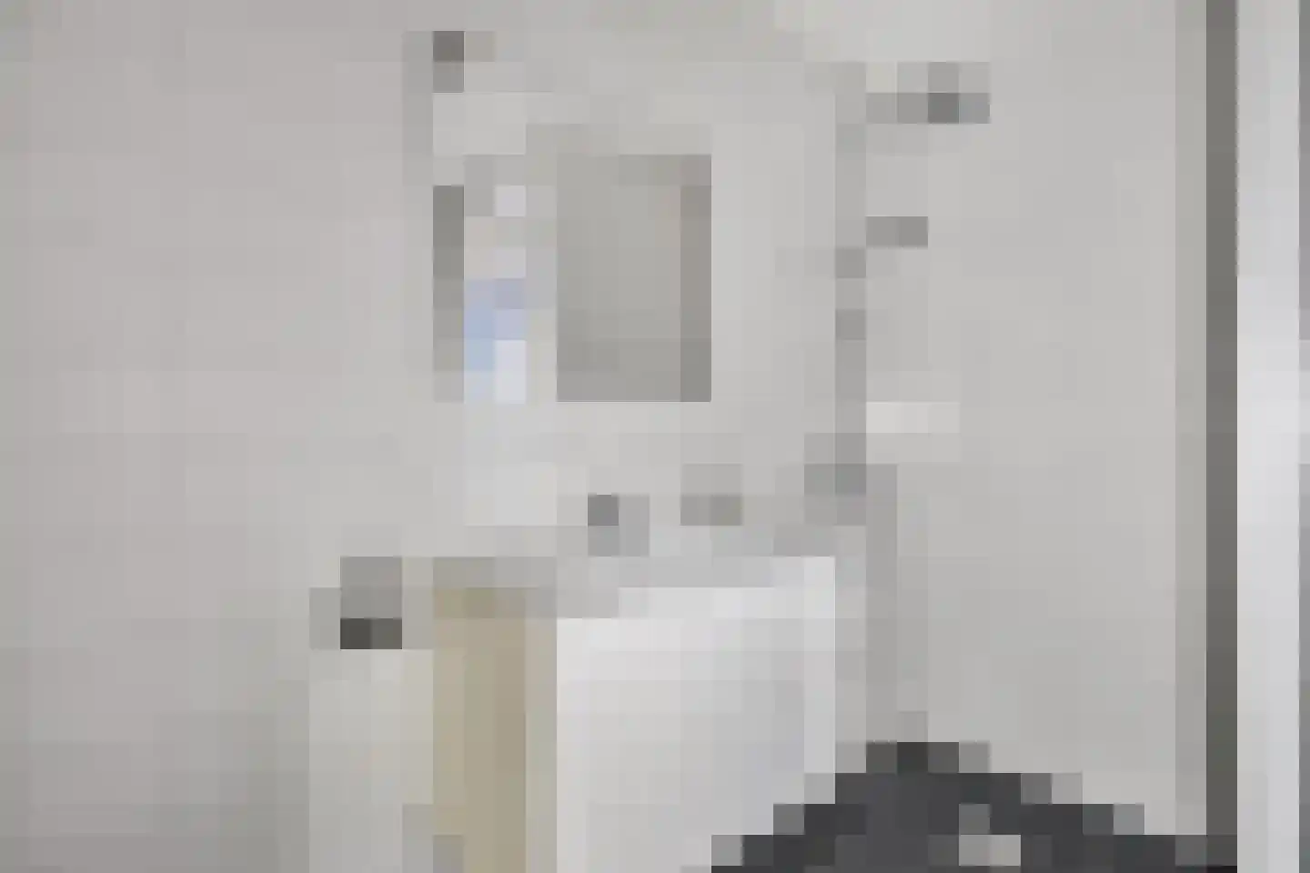 Doorzwin 4314 Julianadorp thumbnail 18