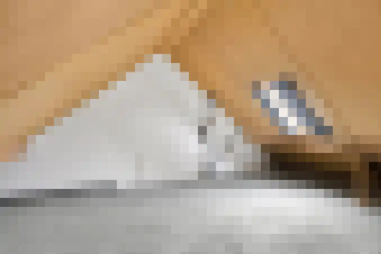 Doorzwin 4314 Julianadorp thumbnail 19