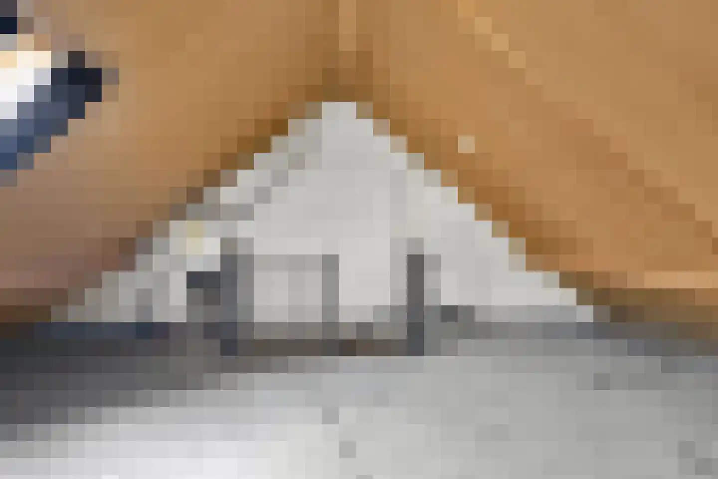 Doorzwin 4314 Julianadorp thumbnail 20