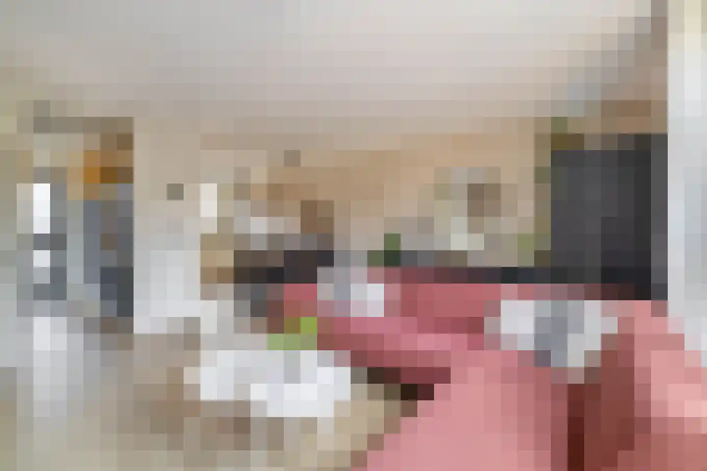 Doorzwin 5017 Julianadorp thumbnail 11