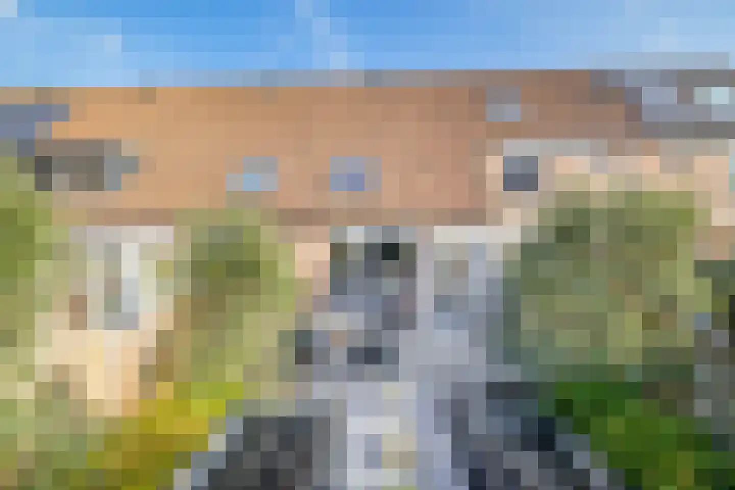 Doorzwin 5017 Julianadorp thumbnail 19
