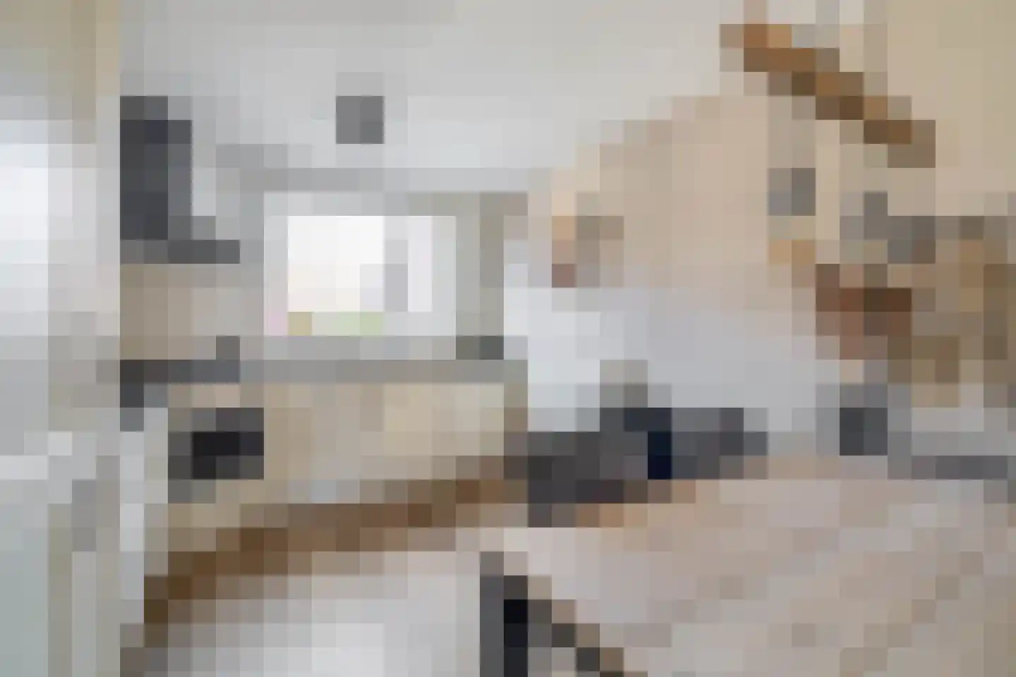 Doorzwin 5017 Julianadorp thumbnail 21