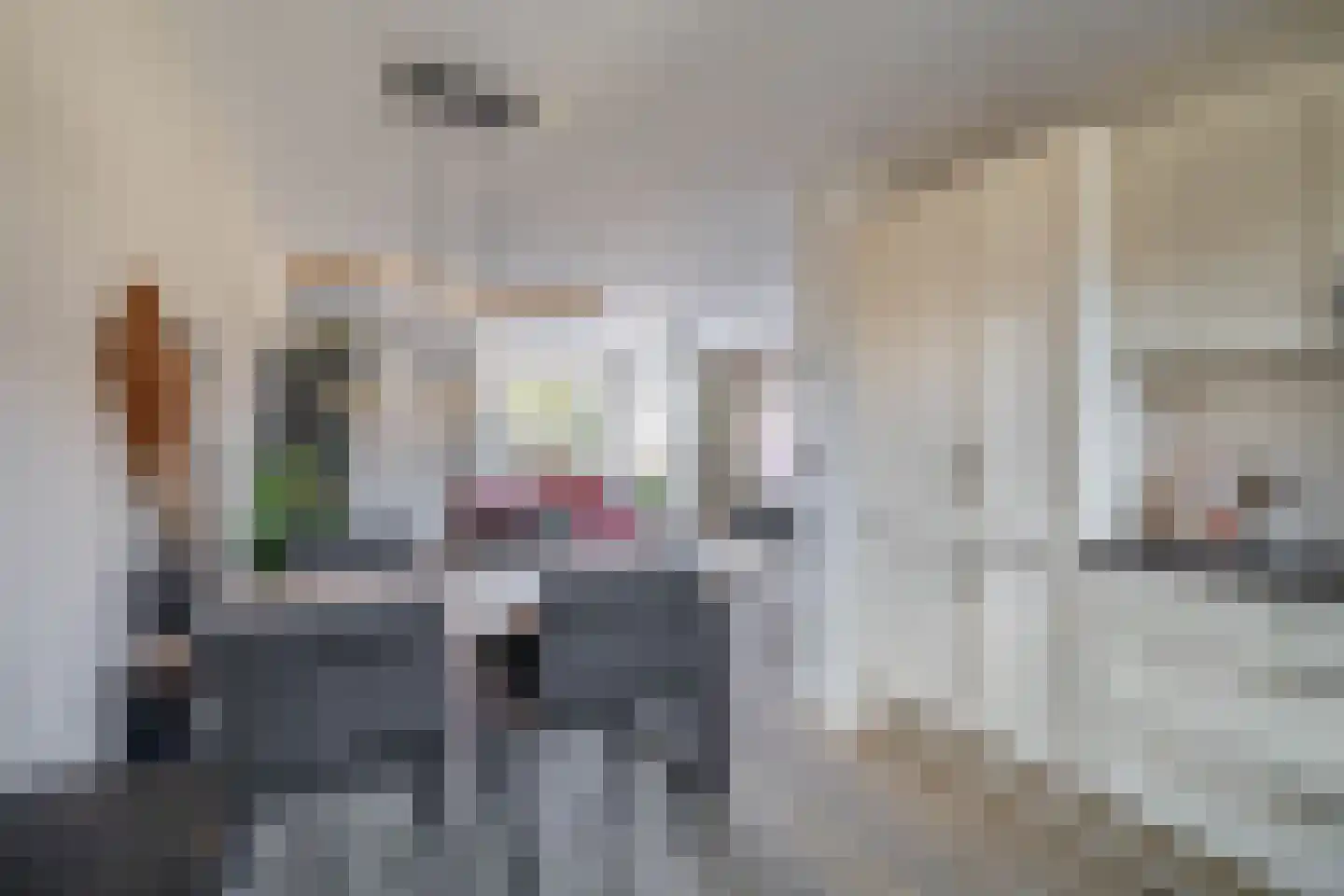 Doorzwin 5017 Julianadorp thumbnail 24