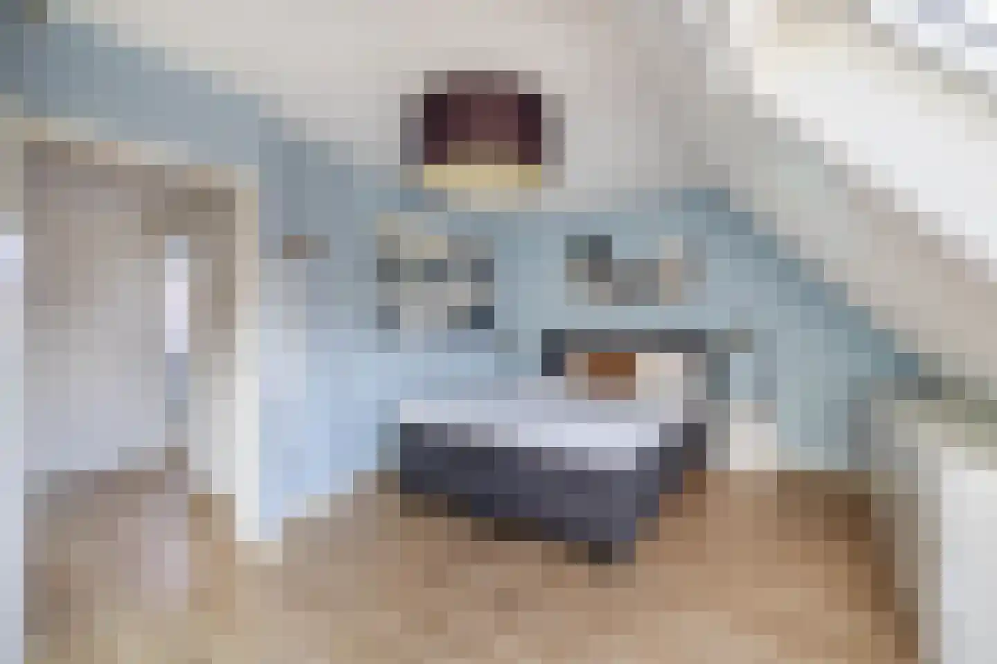 Doorzwin 5017 Julianadorp thumbnail 25