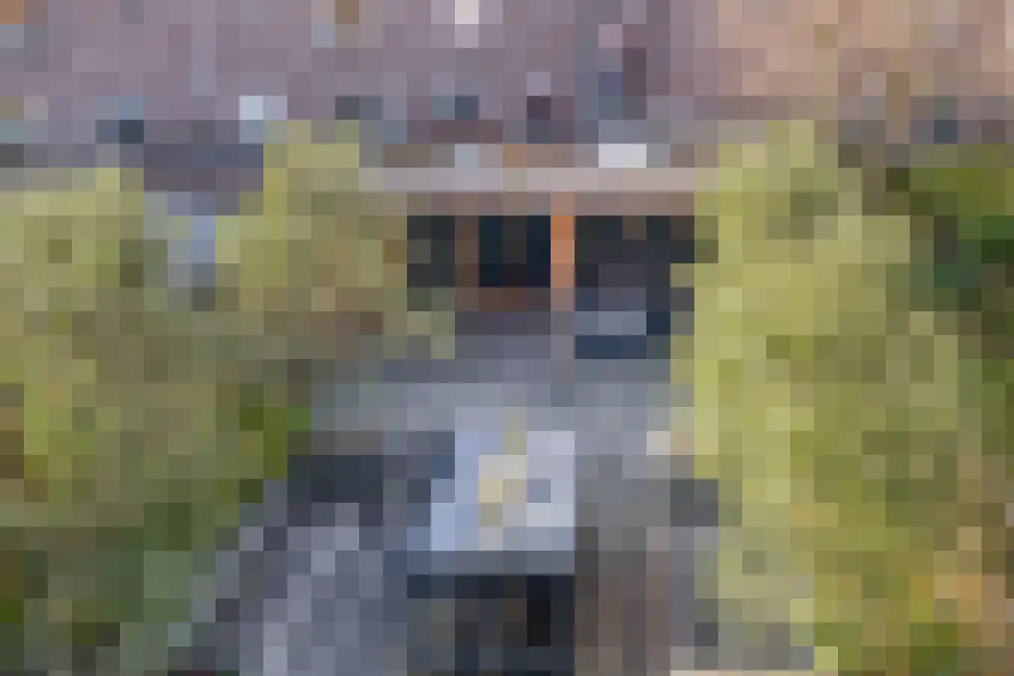 Doorzwin 5017 Julianadorp thumbnail 31