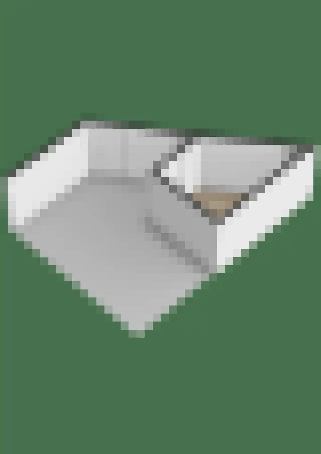 Doorzwin 5017 Julianadorp thumbnail 41