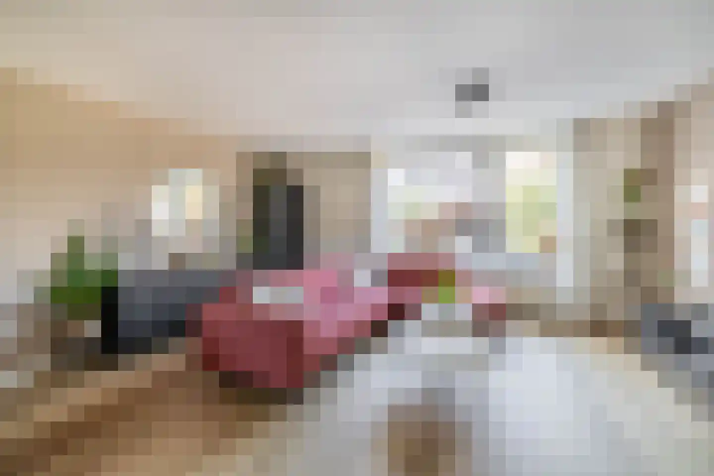 Doorzwin 5017 Julianadorp thumbnail 7