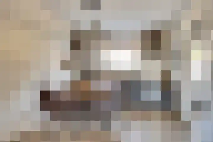 Doorzwin 5105 Julianadorp thumbnail 14