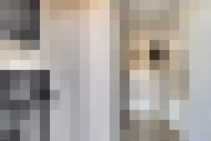 Doorzwin 5105 Julianadorp thumbnail 19