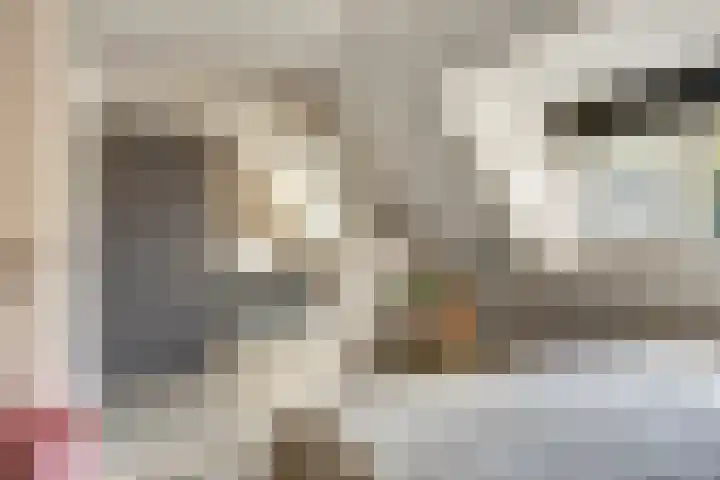 Doorzwin 5105 Julianadorp thumbnail 23