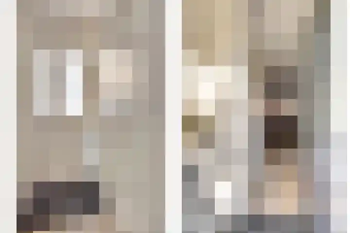 Doorzwin 5105 Julianadorp thumbnail 8
