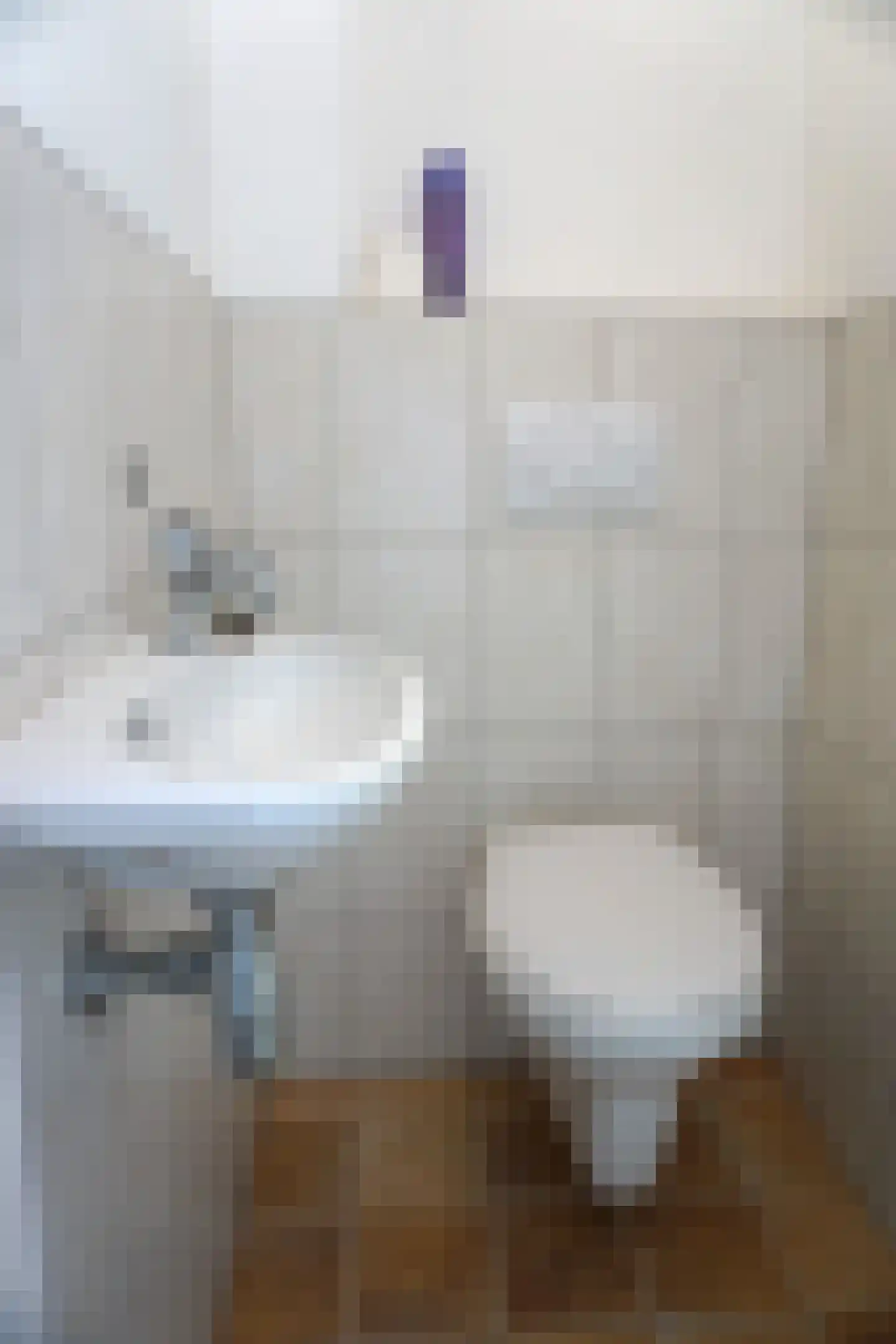Doorzwin 5112 Julianadorp thumbnail 10