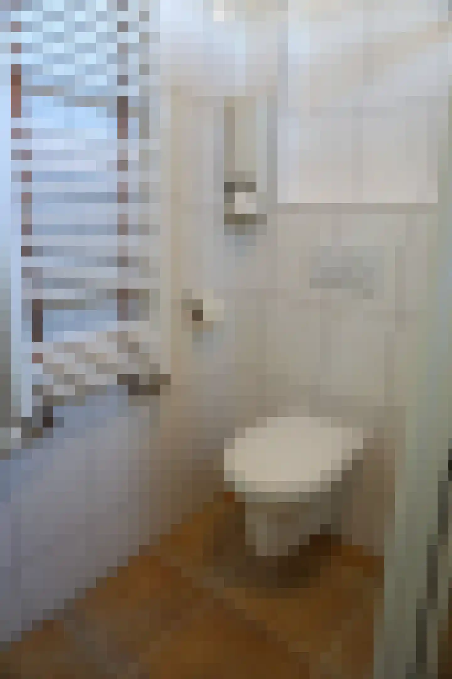 Doorzwin 5112 Julianadorp thumbnail 19