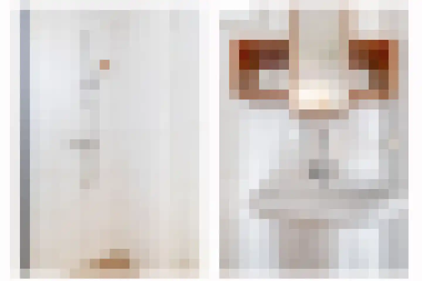 Doorzwin 5112 Julianadorp thumbnail 23