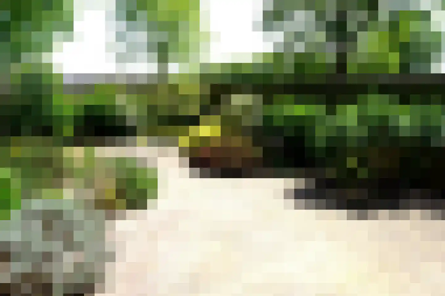 Doorzwin 5112 Julianadorp thumbnail 32