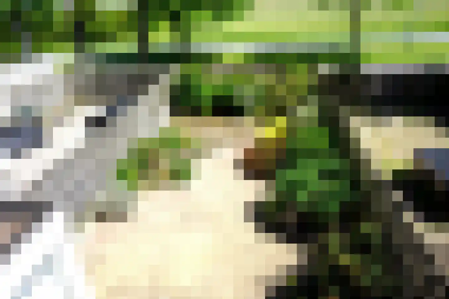 Doorzwin 5112 Julianadorp thumbnail 35