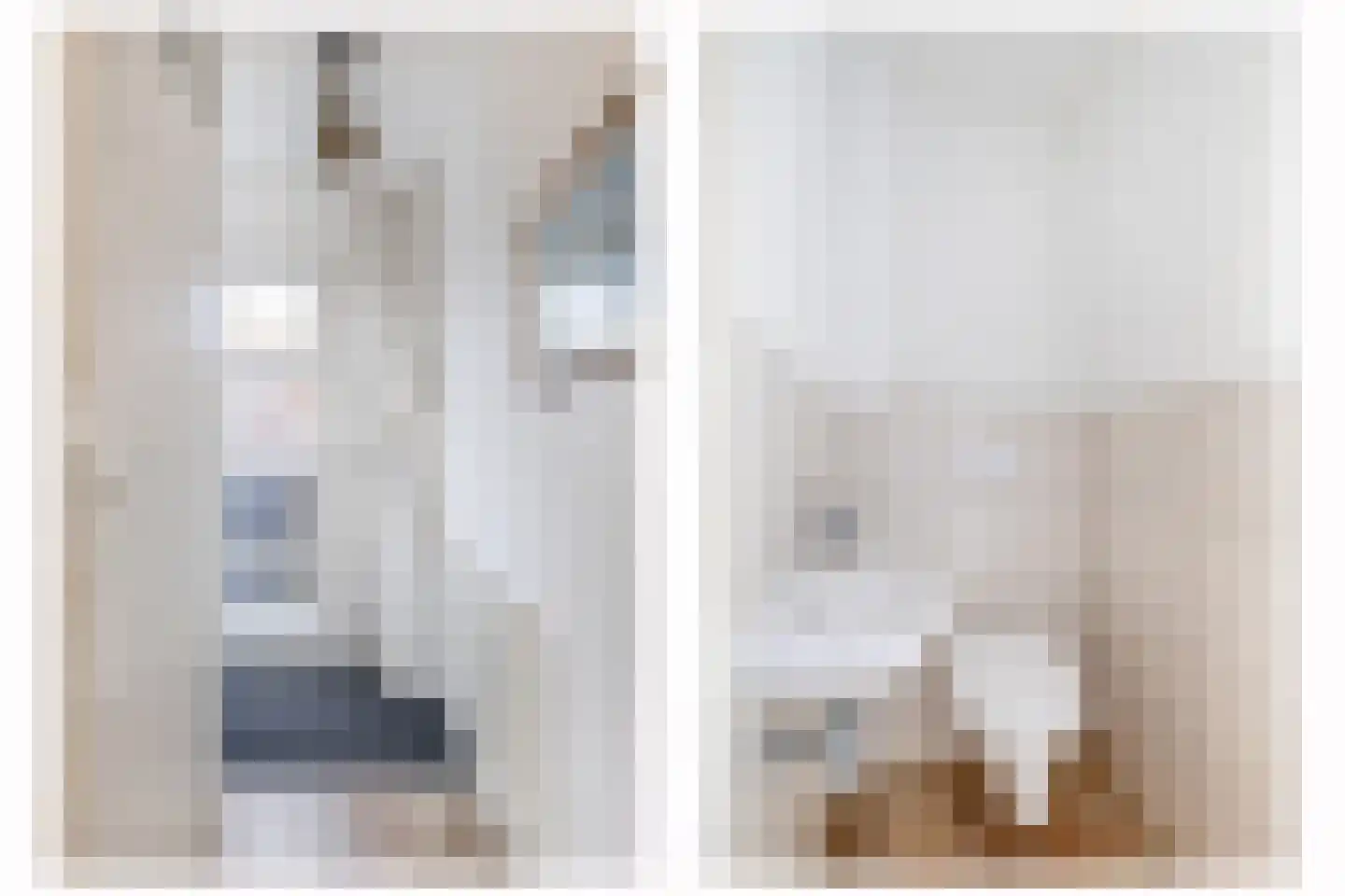 Doorzwin 5112 Julianadorp thumbnail 4