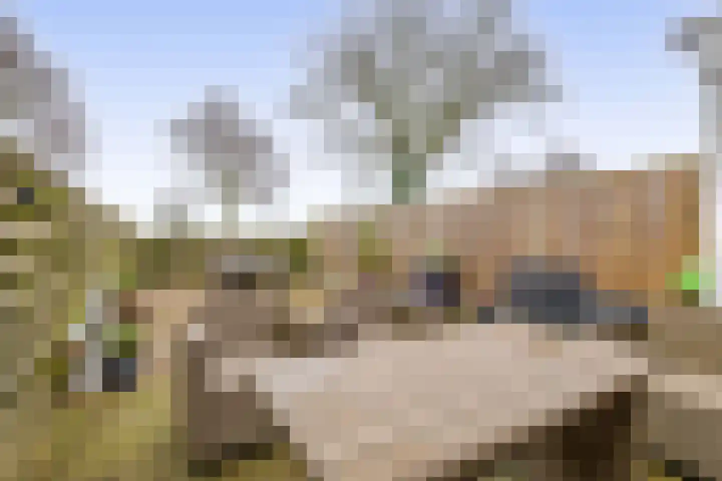 Doorzwin 5113 Julianadorp thumbnail 15