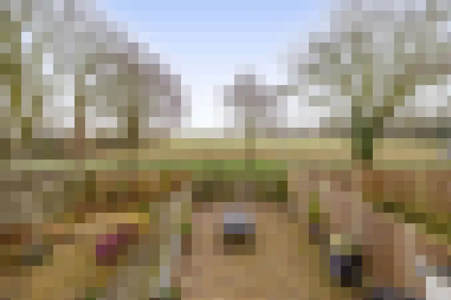 Doorzwin 5113 Julianadorp thumbnail 22