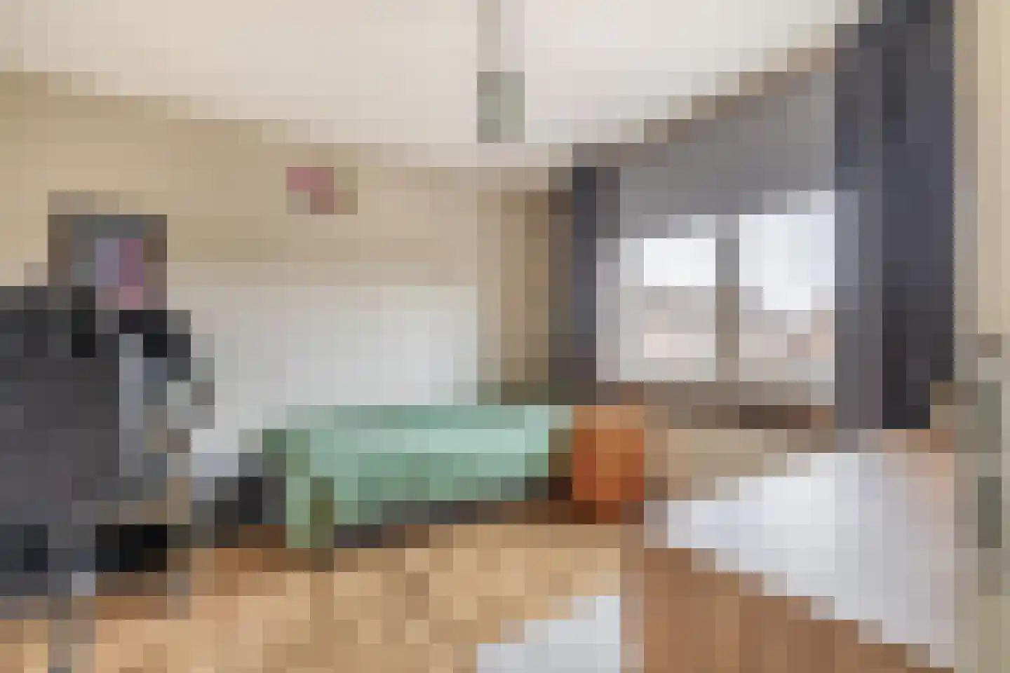 Doorzwin 5113 Julianadorp thumbnail 26