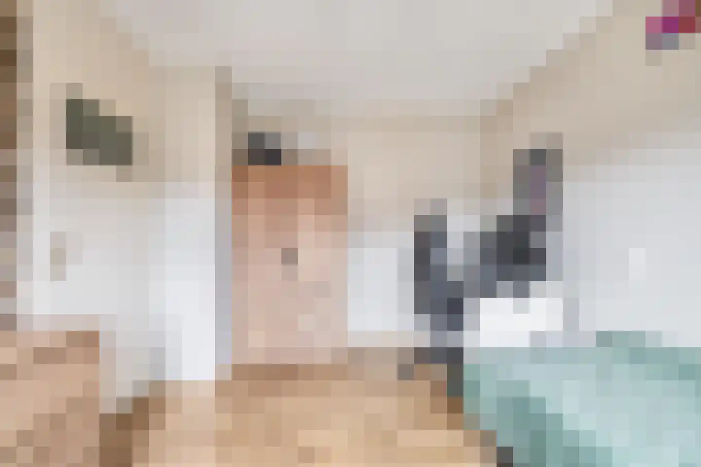 Doorzwin 5113 Julianadorp thumbnail 27