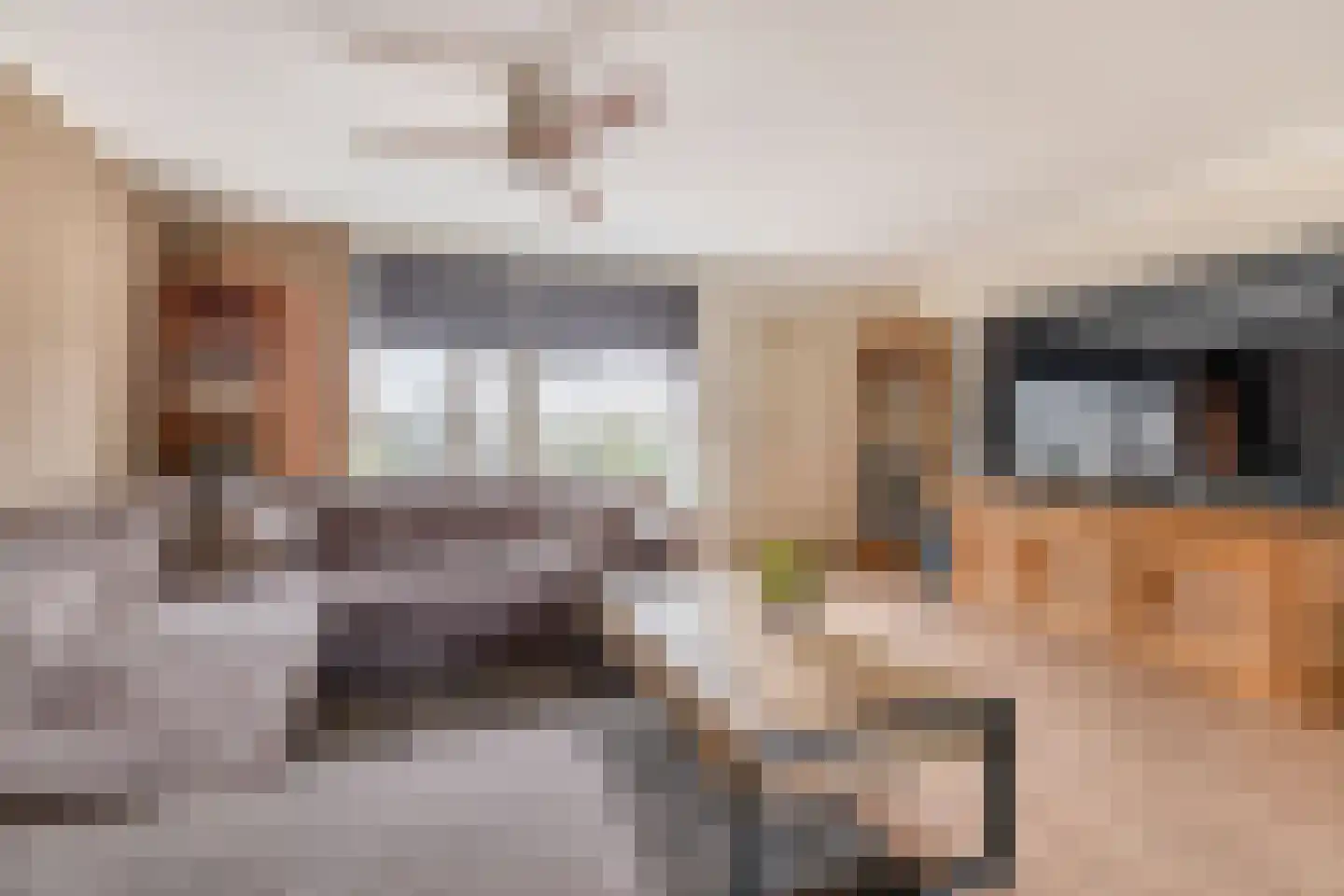 Doorzwin 5113 Julianadorp thumbnail 4