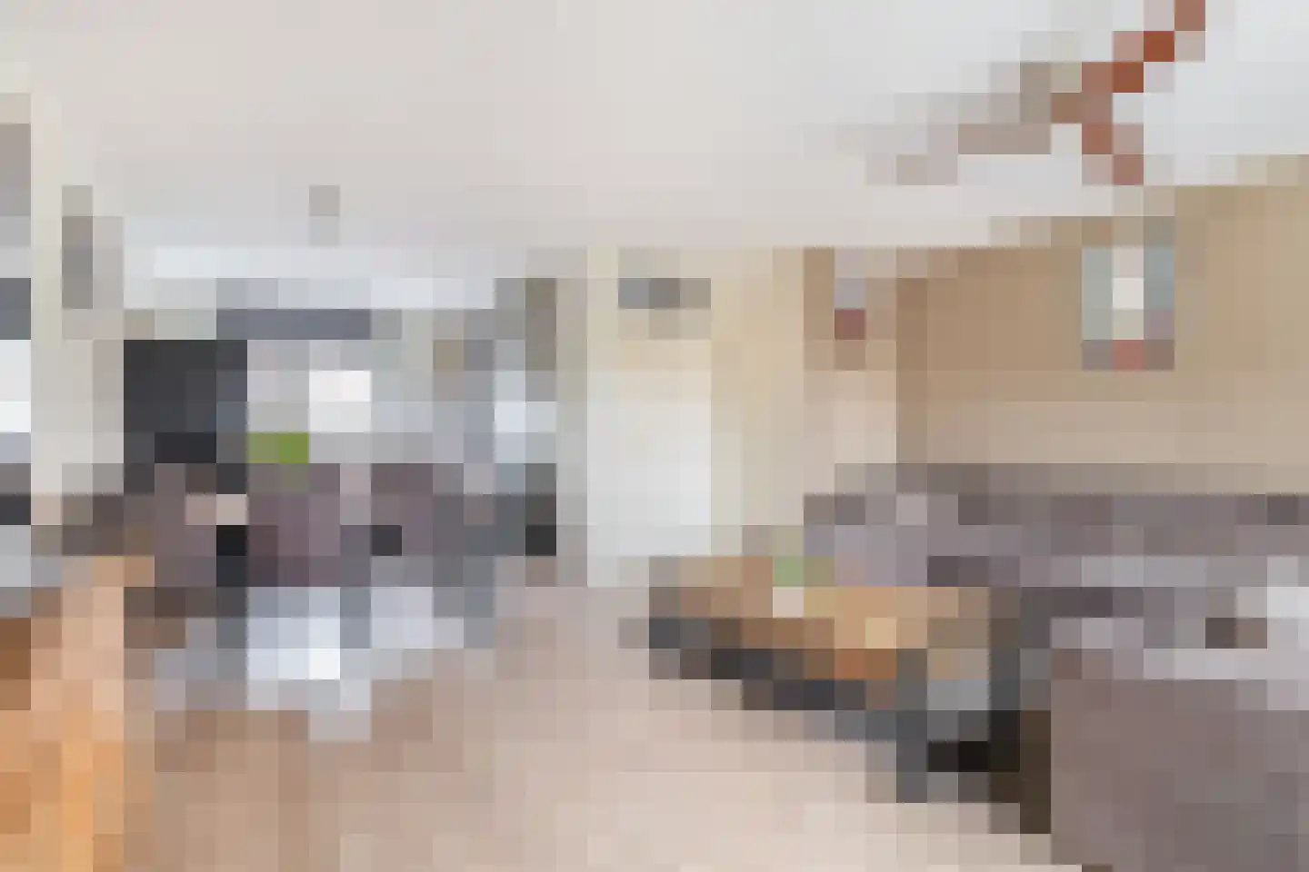 Doorzwin 5113 Julianadorp thumbnail 6