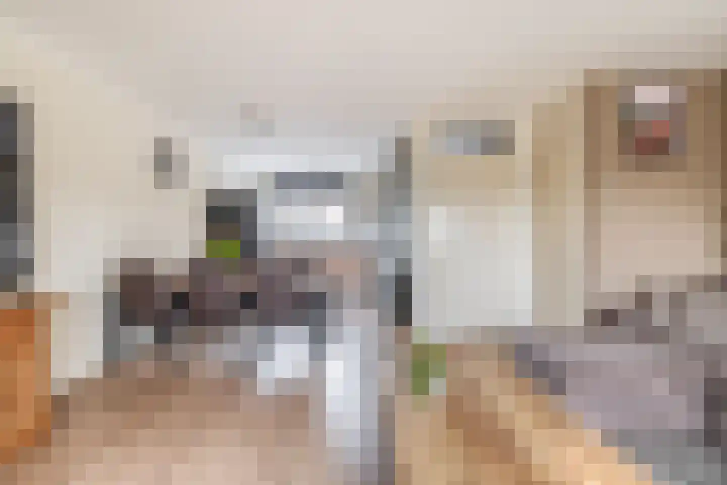 Doorzwin 5113 Julianadorp thumbnail 7